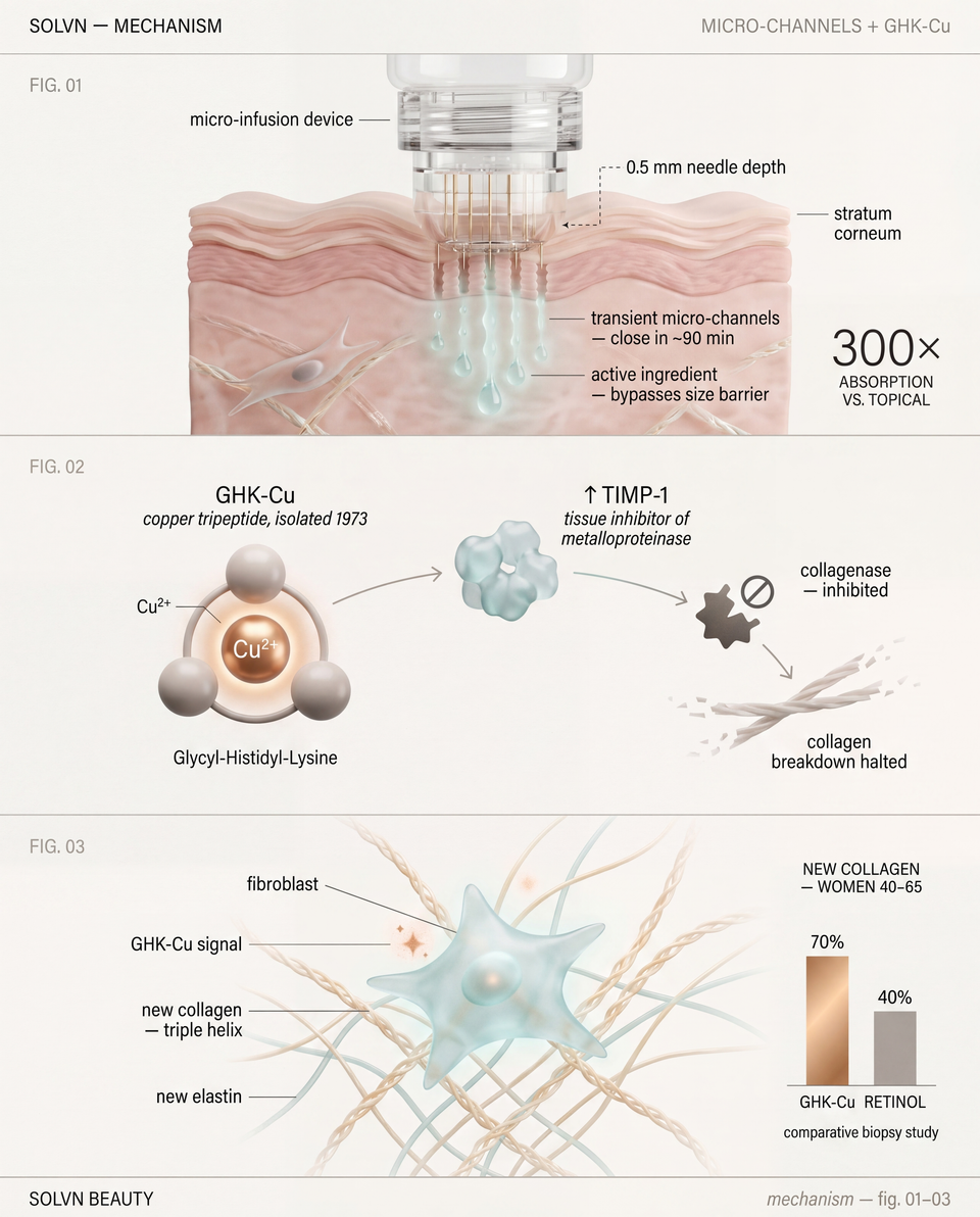 Mechanism: open the door, turn down demolition, tell fibroblasts to build